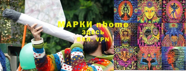 индика Баксан