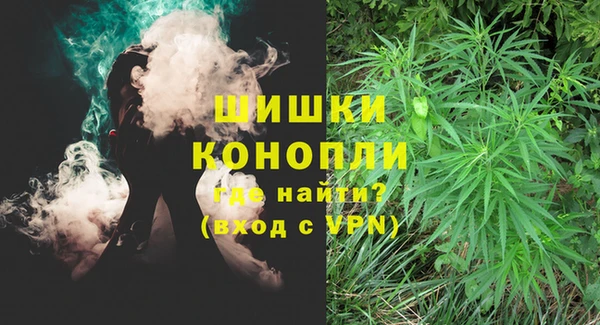 индика Баксан