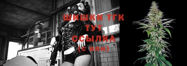 индика Баксан