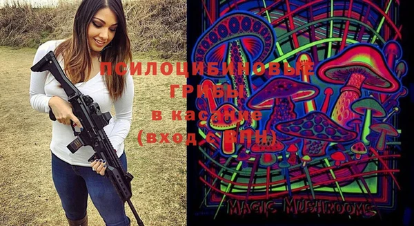 индика Баксан