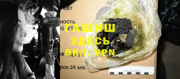 индика Баксан