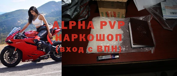 индика Баксан