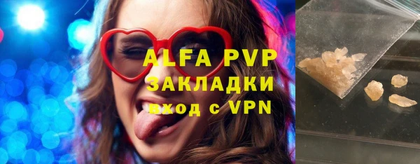 индика Баксан