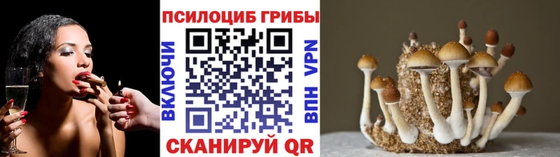 Псилоцибиновые грибы ЛСД  магазин  наркотиков  Окуловка 