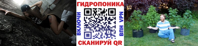 Бошки марихуана гибрид  Окуловка 